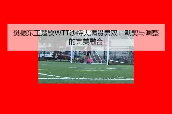 fan-zhen-dong-wang-chu-qin-sha-te-da-man-guan-nan-shuang-mo-qi-yu-tiao-zheng-de-wan-mei-rong-he-2-439.jpg