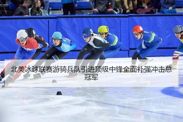 bei-mei-bing-qiu-lian-sai-you-qi-bing-dui-yin-jin-ding-ji-zhong-feng-quan-mian-bu-qiang-chong-ji-zong-guan-jun-3-340.jpg