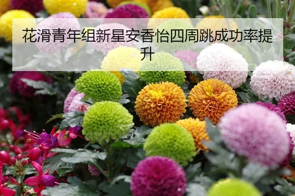 花滑青年组新星安香怡四周跳成功率提升